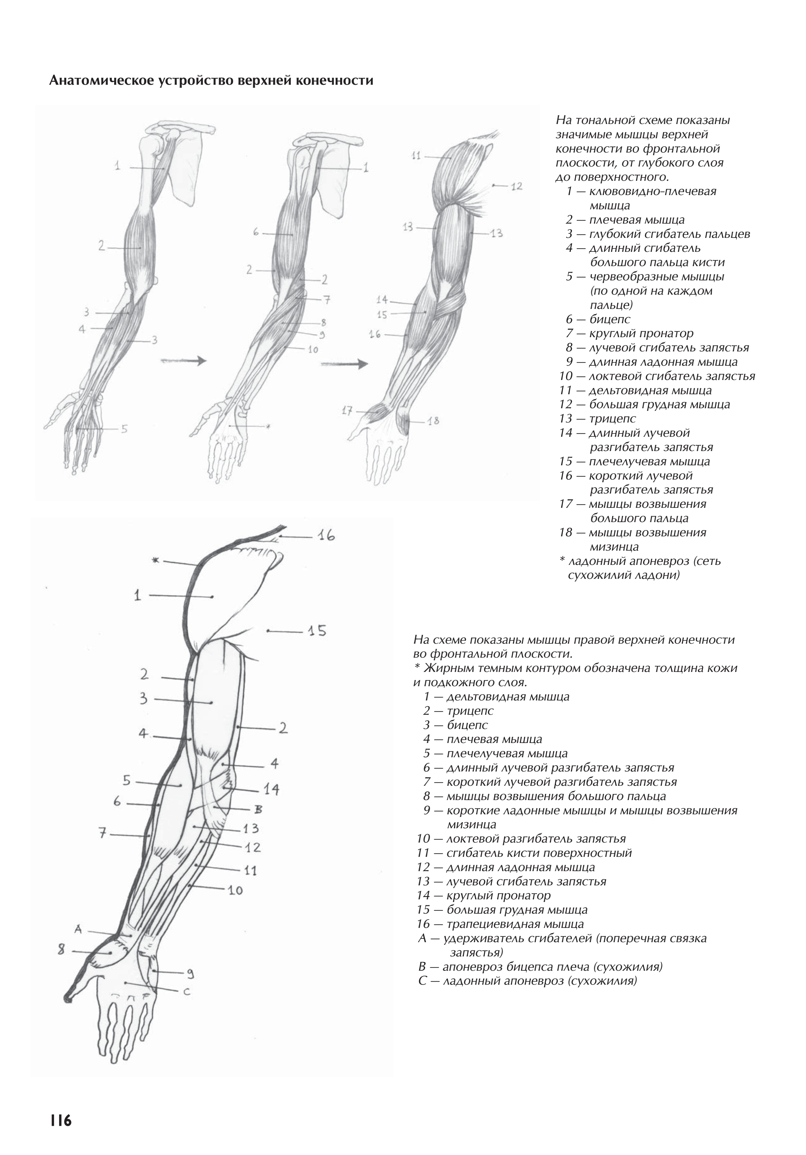 آموزش نقاشی طراحی سیاه قلم شهرری
